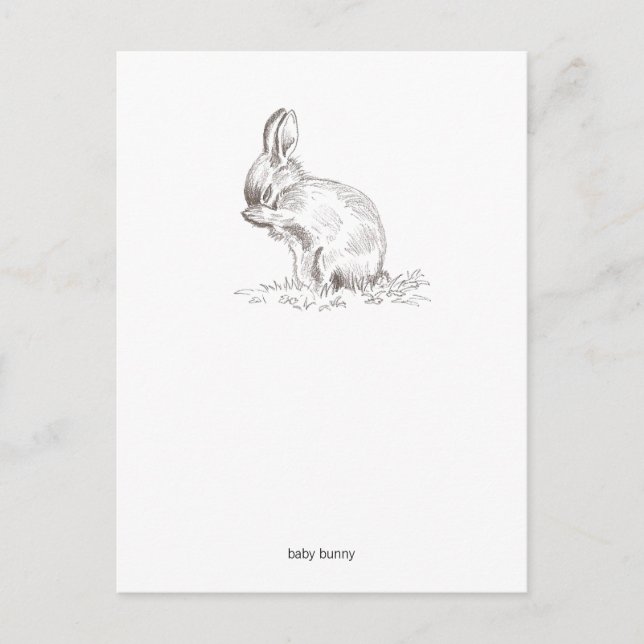 Postkort för baby Bunny Vykort (Framsida)