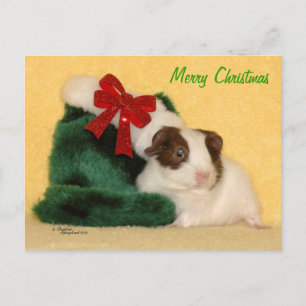 Postkort för baby Guinea Gris God jul Helg Vykort