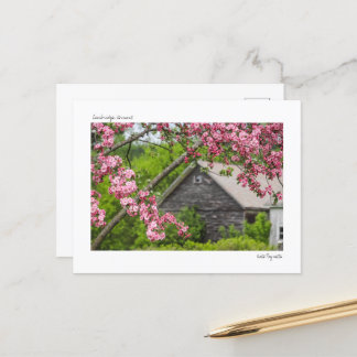 Postkort för Barn och Blommar Vykort