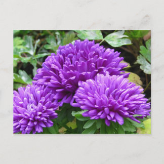 Postkort för Blommigt Vykort