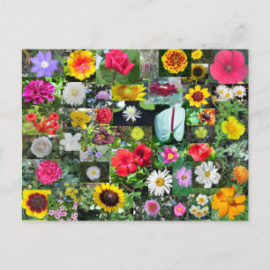 Postkort för blomsäkring vykort