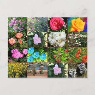 Postkort för blomsäkring vykort
