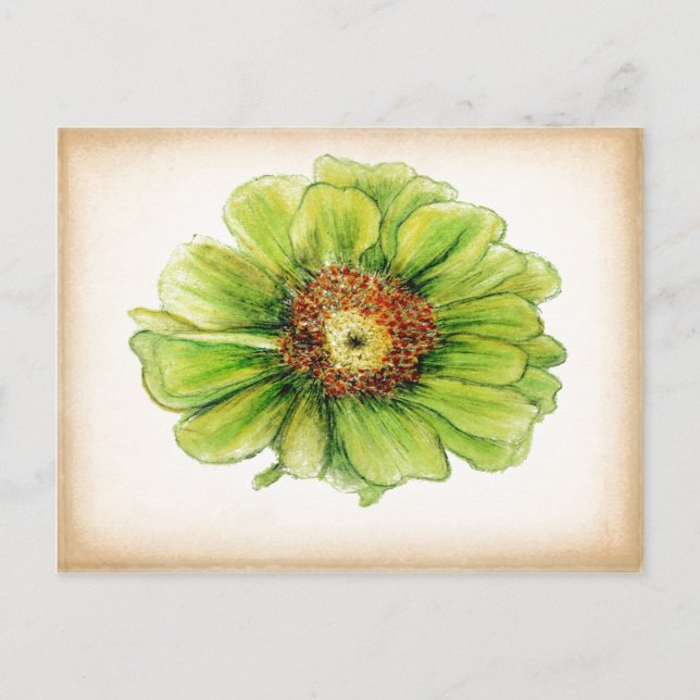 Postkort för Botaniskt teckning Vykort (Framsida)