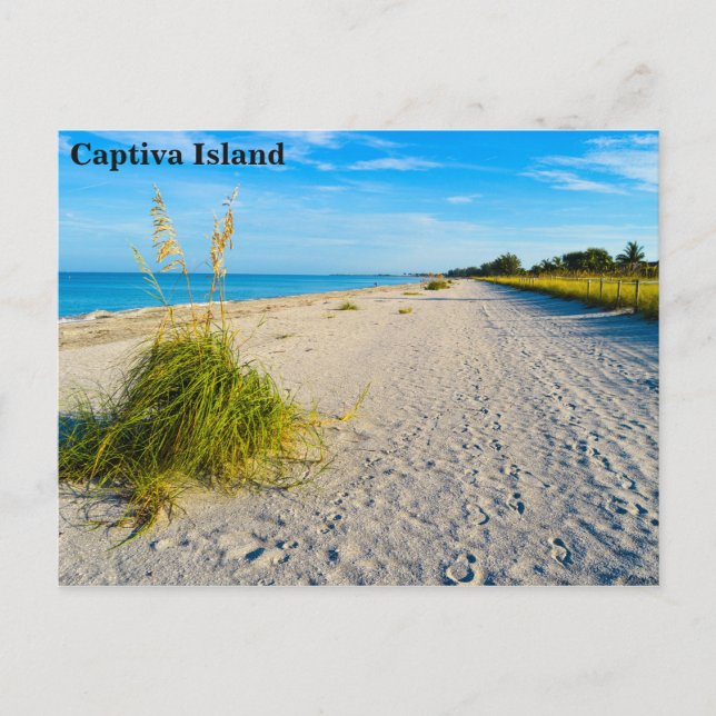 Postkort för Captiva Island Vykort (Framsida)