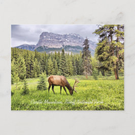 Postkort för Castle Mountain Banff nationalpark Vykort