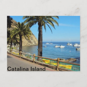 Postkort för Catalina Vykort