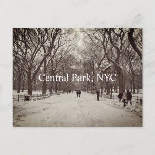 Postkort för central park vykort