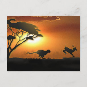 Postkort för Cheetah och Gazelle Vykort