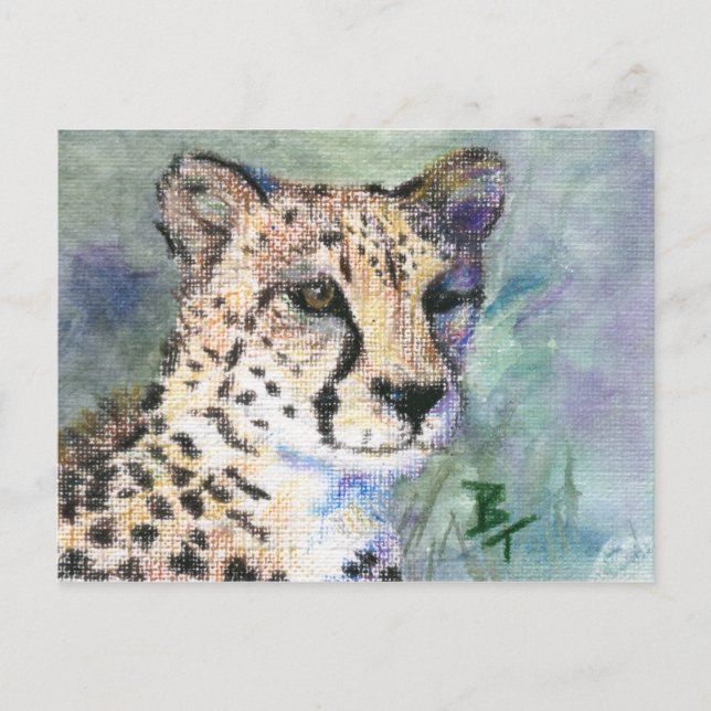 Postkort för Cheetah Porträtt aceo Vykort (Framsida)