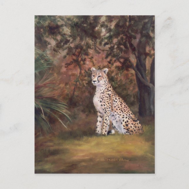 Postkort för Cheetah Sitta Vykort (Framsida)
