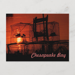 Postkort för Chesapeake Bay Vykort