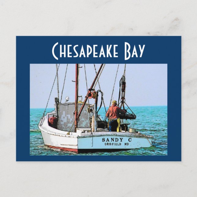 Postkort för Chesapeake Bay Vykort (Framsida)