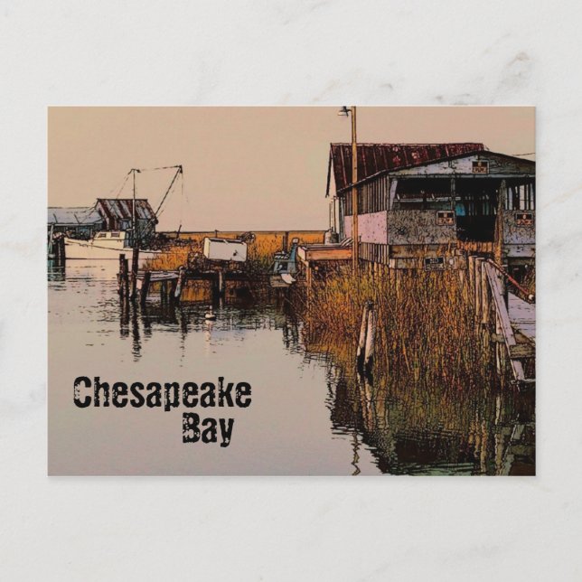 Postkort för Chesapeake Bay Vykort (Framsida)