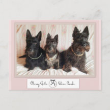 Postkort för Classy Girls Bära Pearls Postcard