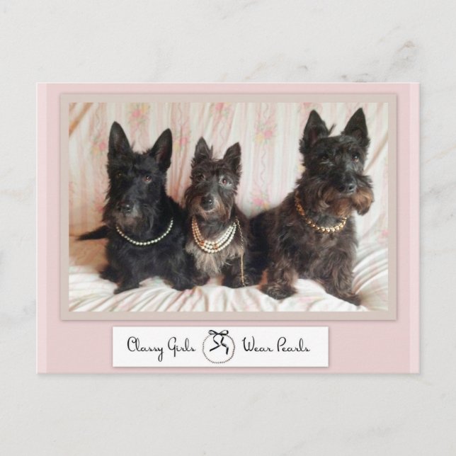 Postkort för Classy Girls Bära Pearls Postcard Vykort (Framsida)
