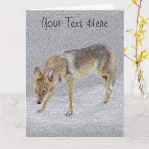 Postkort för Coyote Kort