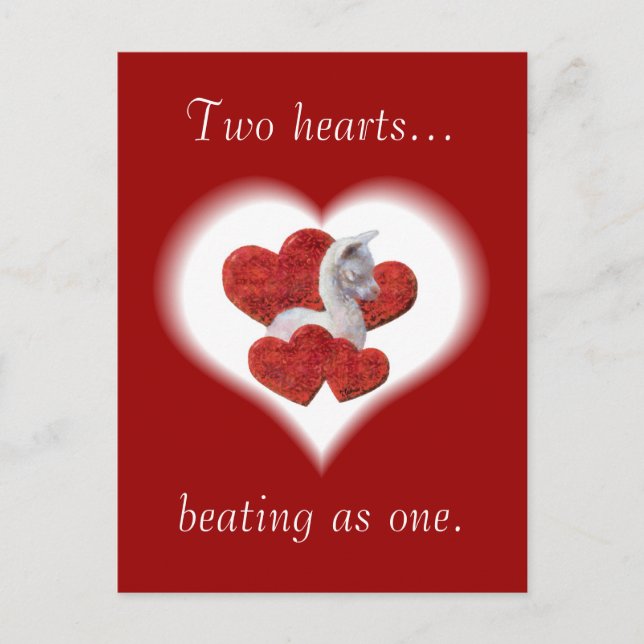 Postkort för Cute Alpaca Baby Valentines day Helg Vykort (Framsida)