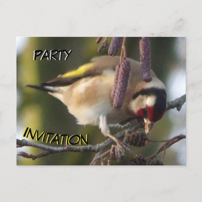 Postkort för Cute-ätande Goldfinch Party-inbjudan Vykort (Framsida)