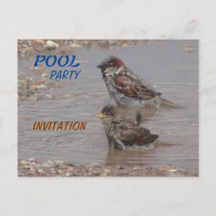 Postkort för Cute Bathing Sparrows Party-inbjudan Vykort