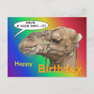 Postkort för Cute Camel Rainbow Grattis på födelse Vykort