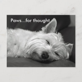 Postkort för Cute Westie Vykort