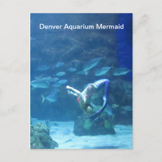 Postkort för Denver Aquarium Sjöjungfru Vykort