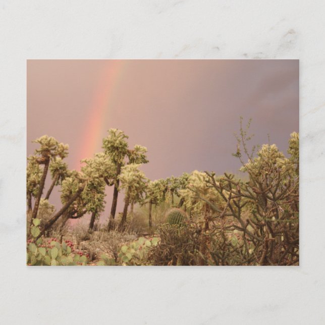 Postkort för Desert Rainbow Vykort (Framsida)