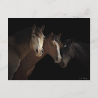 Postkort för Desert Spöken Vykort