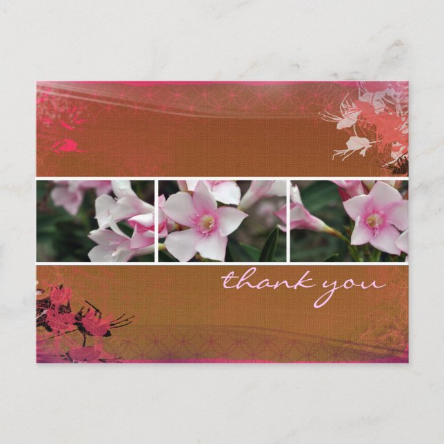 Postkort för DesertBotanicals - brunt Vykort (Framsida)