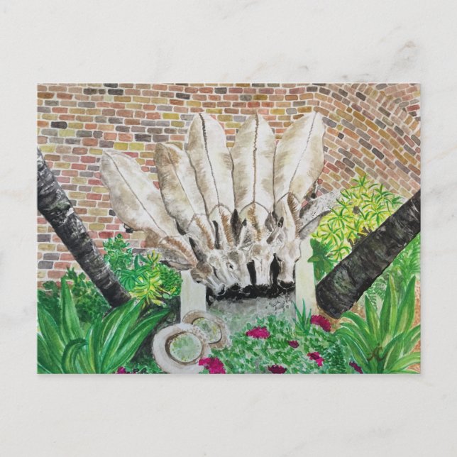 Postkort för donkey vykort (Framsida)