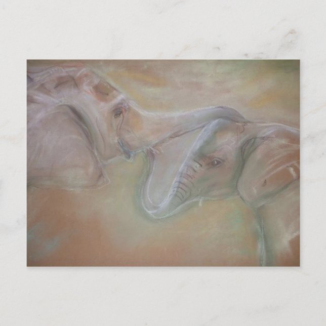 Postkort för elefanter vykort (Framsida)