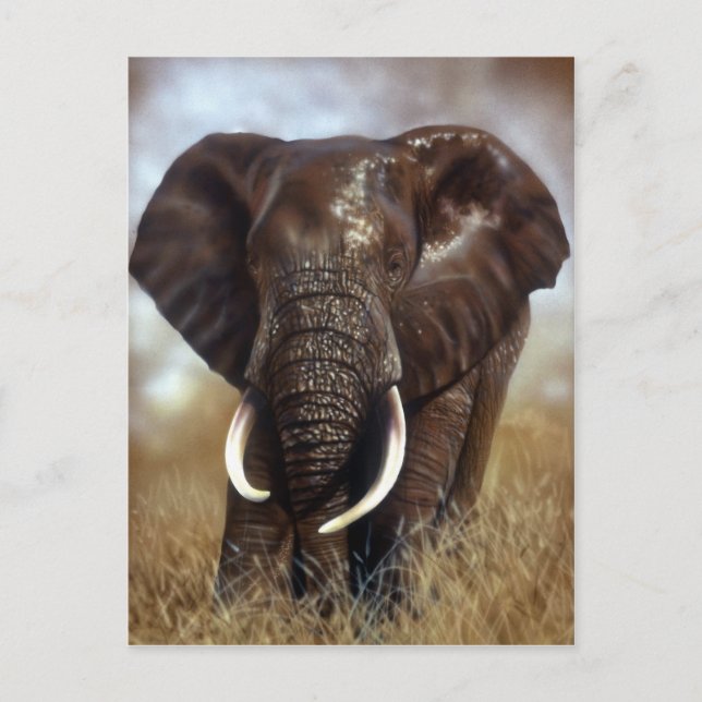 Postkort för Elephant Bull Vykort (Framsida)