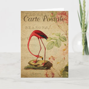 Postkort för Flamingo Vintage Fransk Kort