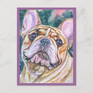 Postkort för fransk Bulldog Vykort