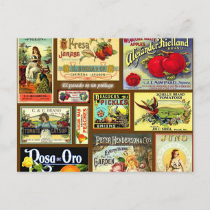 Postkort för frukt-Vintage Vykort