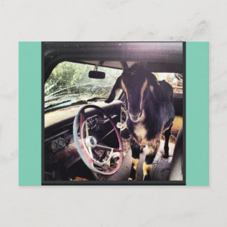 Postkort för Gott Power Team Vykort