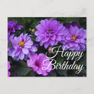 Postkort för grattis på födelsedagen Dahlia Lilac Vykort