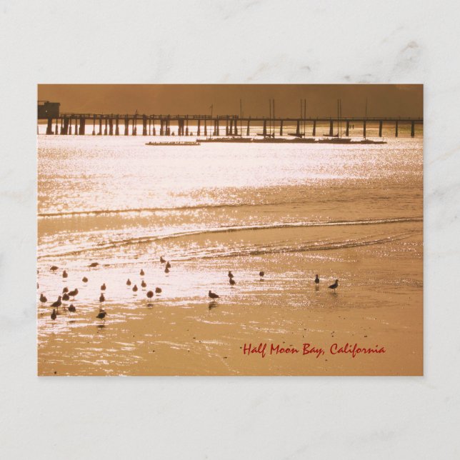 Postkort för halva Måne Bay Vykort (Framsida)