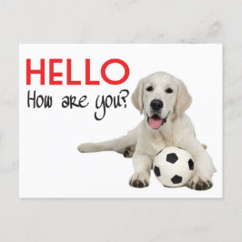 Postkort för Hej Gult Labrador Vykort