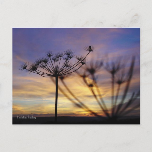 Postkort för höstsolnedgångsobjekt vykort (Framsida)