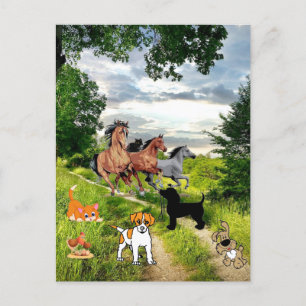 Postkort för hund Cat Chicken Horses Vykort