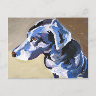 Postkort för hund-profil i sol vykort