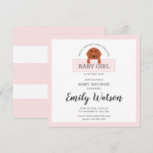 Postkort för inbjudan till Dachshund Baby Shower