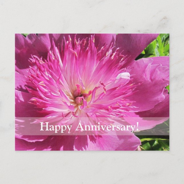 Postkort för japansk peony Lycklig-årsdag Vykort (Framsida)