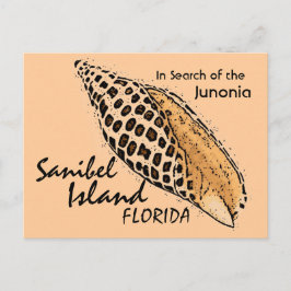 Postkort för Junonia snäcka Sanibel Island humor Vykort