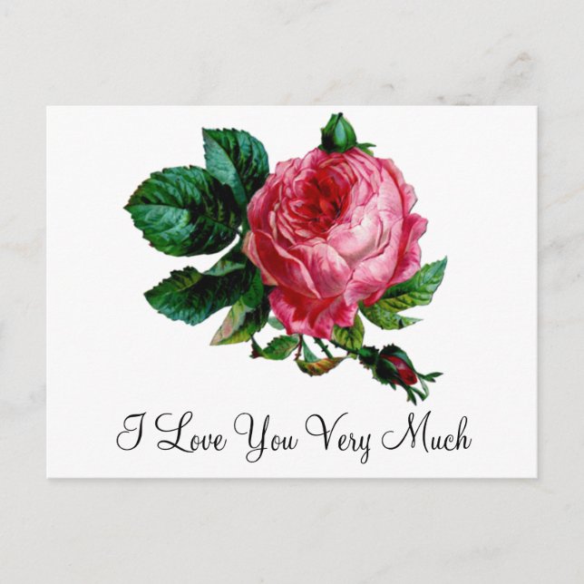 Postkort för kål Ro Vykort (Framsida)