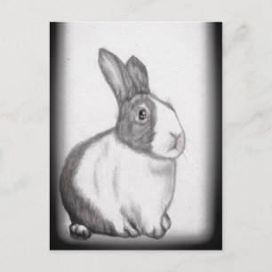 Postkort för kanin Bunny White Fluffy Svan Long Ör Vykort