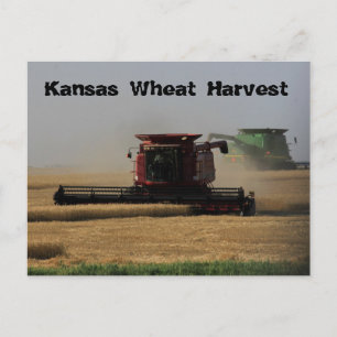 Postkort för Kansas Wheat Harvest Vykort