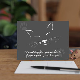 Postkort för kattsympati vykort