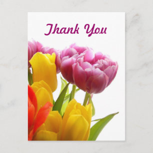 Postkort för lila och Gult Tulips Tack Vykort